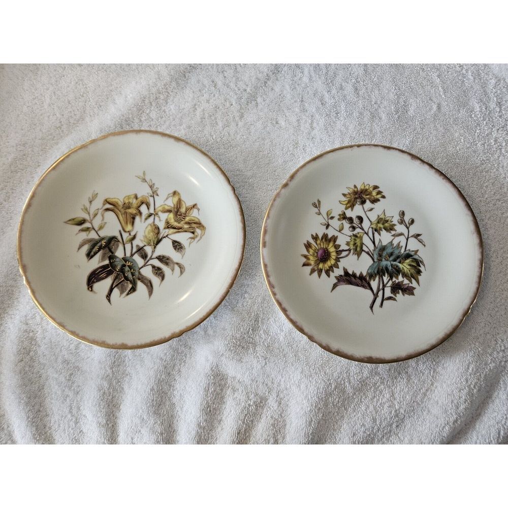2 Antique Limoges Plates 8" Roses Gold Trim Flowers‎ Leaves